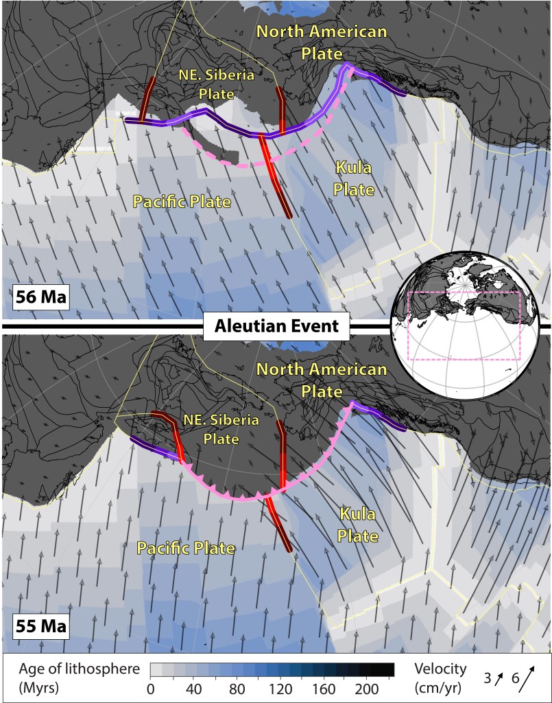 Aleutian SZI event as reconstructed in the model of Müller et al. (2016). Pink dashed (solid with teeth) line shows the Aleutian trench 1 Myr before (at) SZI time in the model. Purple (red) lines show segments of neighbouring subduction zones (ridges and transforms) that lie within some radius of the Aleutian trench (pink line); the brightness of the colours reflects 3 different distance thresholds of 250, 500 and 1000 km.