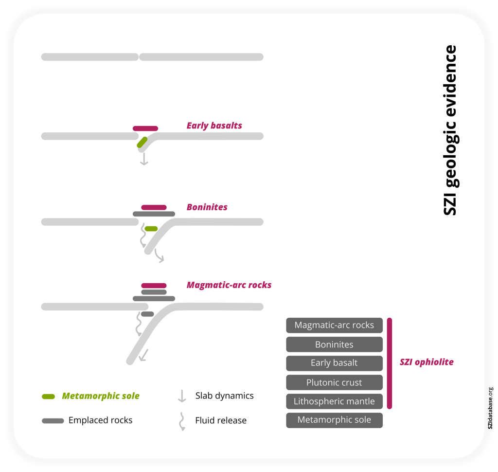 Schematic illustration of the emplacement of SZI-typical rocks during SZI, and a typical SZI ophiolite sequence. Note that this is a text-book example (according to e.g., the Izu-Bonin-Mariana SZI) and that pre-existing structures (e.g., a pre-existing volcanic arc) or variable SZI dynamics (e.g., horizontal compression) could inhibit various stages and therefore their typical rock signatures. Figure from Crameri et al. (2020, Nature Communications) and available in various formats from https://s-ink.org/subduction-zone-initiation-geologic-evidence.