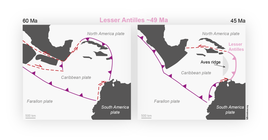 Schematic tectonic reconstruction of the Lesser Antilles SZI event (modified from van Benthem et al., 2013 and Boschman et al., 2014). Subduction of the North and South America plates beneath the Caribbean plate was probably already active earlier on. At 58–39 Ma, subduction jumped eastwards, creating the new Lesser Antilles subduction zone. Shown are the new subduction zone (pink line), other active (solid purple lines) and inactive (dashed purple lines) subduction zones, and transform faults (red dashed lines).