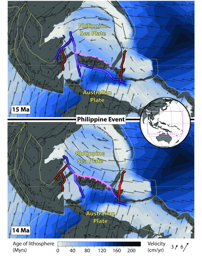 Philippine SZI event as reconstructed in the model of Müller et al. (2016). Pink dashed (solid with teeth) line shows the Philippine trench 1 Myr before (at) SZI time in the model. Purple (red) lines show segments of neighbouring subduction zones (ridges and transforms) that lie within some radius of the Philippine trench (pink line); the brightness of the colours reflects 3 different distance thresholds of 250, 500 and 1000 km.